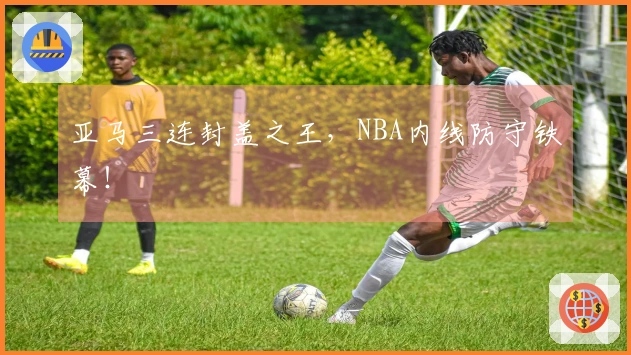 亚马三连封盖之王，NBA内线防守铁幕！