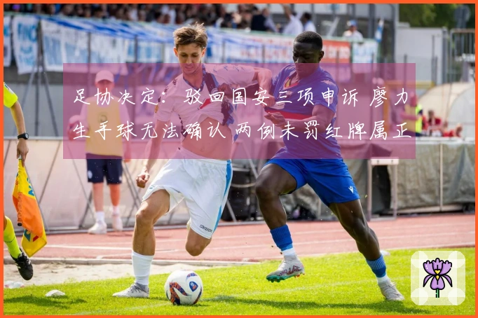 足协决定：驳回国安三项申诉 廖力生手球无法确认 两例未罚红牌属正确判罚