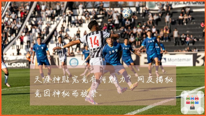 天涯神贴究竟有何魅力？网友揭秘竟因神秘而被禁。